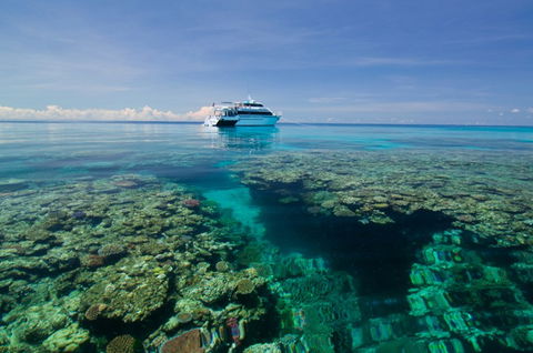 Pro Dive Cairns - Stayed 4