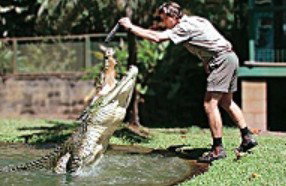 Reef And Rainforest Connections - Stayed 3