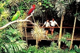 Reef And Rainforest Connections - Stayed 4