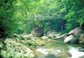 Reef And Rainforest Connections - Stayed 5