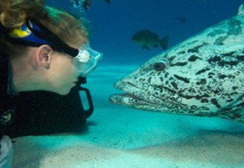 Spirit Of Freedom - Stays Accommodation 2