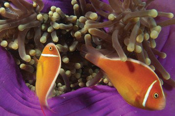 Spirit Of Freedom - Stays Accommodation 3