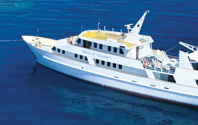Spirit Of Freedom - Stays Accommodation 4
