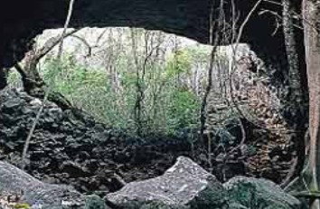 Undara Experience - Stays Accommodation 2