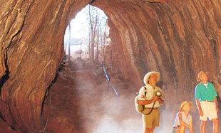 Undara Experience - Stays Accommodation 3