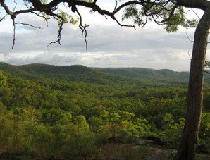 Cooktown Aboriginal Art Tours - Stayed 1