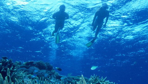 Air Whitsunday Day Tours - Stayed 1