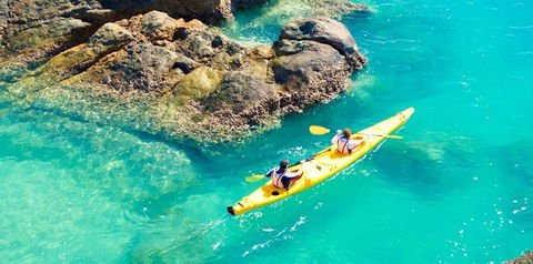 Salty Dog Sea Kayaking - Stayed 9