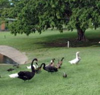 Anzac Park and Ululah Lagoon - Stayed