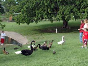 Anzac Park And Ululah Lagoon - Stayed 0