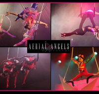 Aerial Angels - Stayed