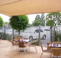 Coach  Horses - Stayed