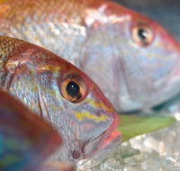 Coro Hotel - Lure Seafood Restaurant - Stayed