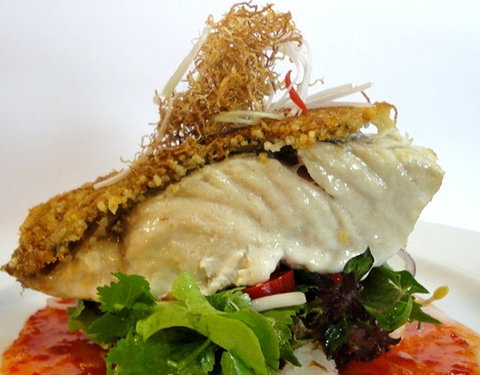 Sago Restaurants - Stayed 3