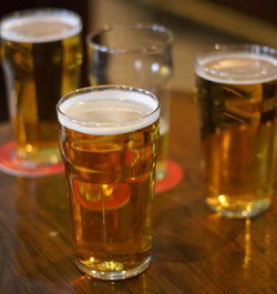 South Mount Cameron TAS Stayed