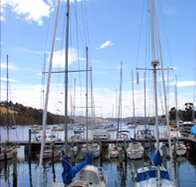 Oyster Cove Inn - Stayed