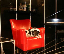 Old Fitzroy Hotel - Stayed 2