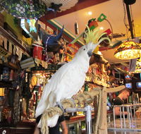 A Friend In Hand - Stayed