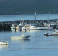 The Apollo Bay Hotel - Stayed