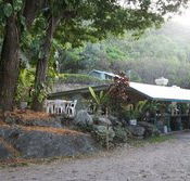 Ellis Beach Bar  Grill - Stayed