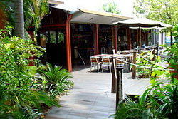 Lizard's Outdoor Bar And Grill - Stayed 0