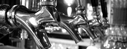 Gold Diggers Arms - Stayed 1