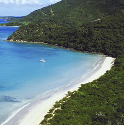 Palm Cove Tavern - Stayed 1