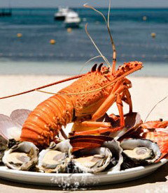 Quokka Arms - Stayed 1