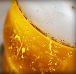 Palm Cove Tavern - Stayed 3