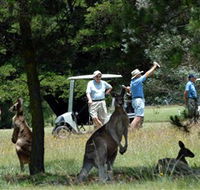 Glen Innes Golf Club - Stayed