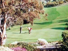 Victor Harbor Golf Club - Stayed 1