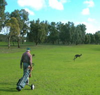 Coffin Bay Golf Club - Stayed