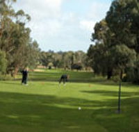 Mount Gambier Golf Club - Stayed