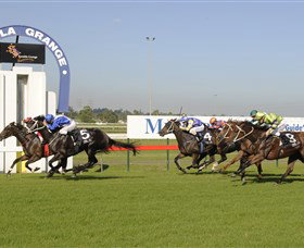 Kembla Heights NSW Stayed