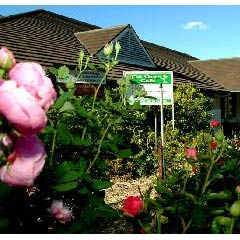 Leura NSW Stayed