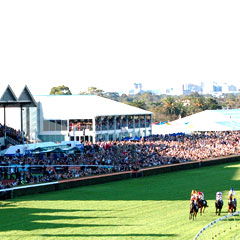 South Australian Jockey Club - Stays Accommodation 0