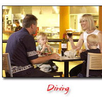 Steelers Club - Stayed