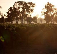 Evans  Tate - Stayed