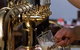 Doma Bohemian Beer Cafe - thumb 2
