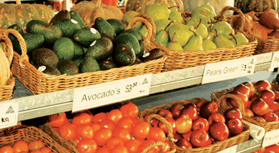 Supply Jervis Bay - Stays Accommodation 2