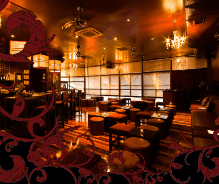 Hippo Lounge Bar - Stayed