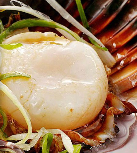 Golden Century Seafood Restaurant - Stays Accommodation 2