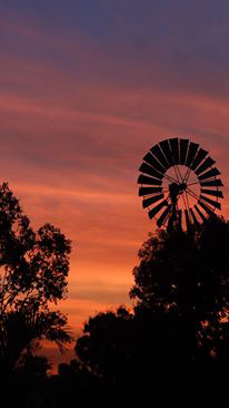 Emerald Springs Roadhouse - Stays Accommodation 5