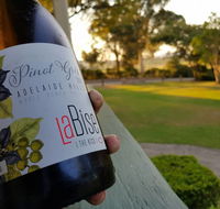 Zesty Edibles - Stayed