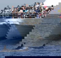 MoonshadowTQC Cruises - Stayed