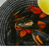 The Italian Diner - Stayed