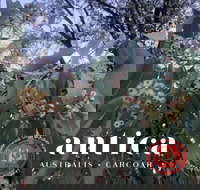 Antica Australis - Winter Fire Festival - Stays Accommodation