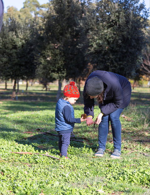 A Taste Of Truffles - Stayed 2