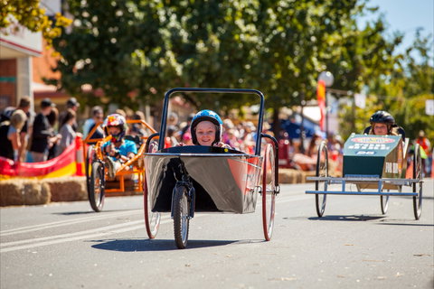 Australian Billy Cart Championships - Stayed 2