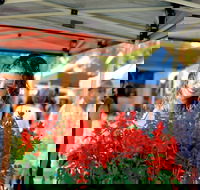 Ballina Missingham Farmers Market - Stayed